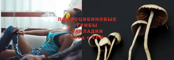 ешки Абинск